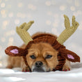 Load image into Gallery viewer, Windproof Halloween Knitted Dog Hat
