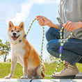Load image into Gallery viewer, Dog Rope Pet Pulling Rope Puppy Strap Traction Rope Heavy Duty Belt Large Dog Leash Dog Collar Strap Dog Training Pet Harness Hands-Free Leash For Small Dogs Multicolor Pet Supplies
