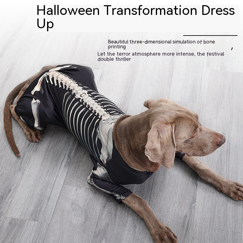 Dog standing in skeleton costume showing fit, elasticity, and breathable polyester fabric