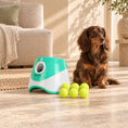 Charger l'image dans la visionneuse de la galerie, Chocolate dachshund beside a green automatic ball launcher and six tennis balls
