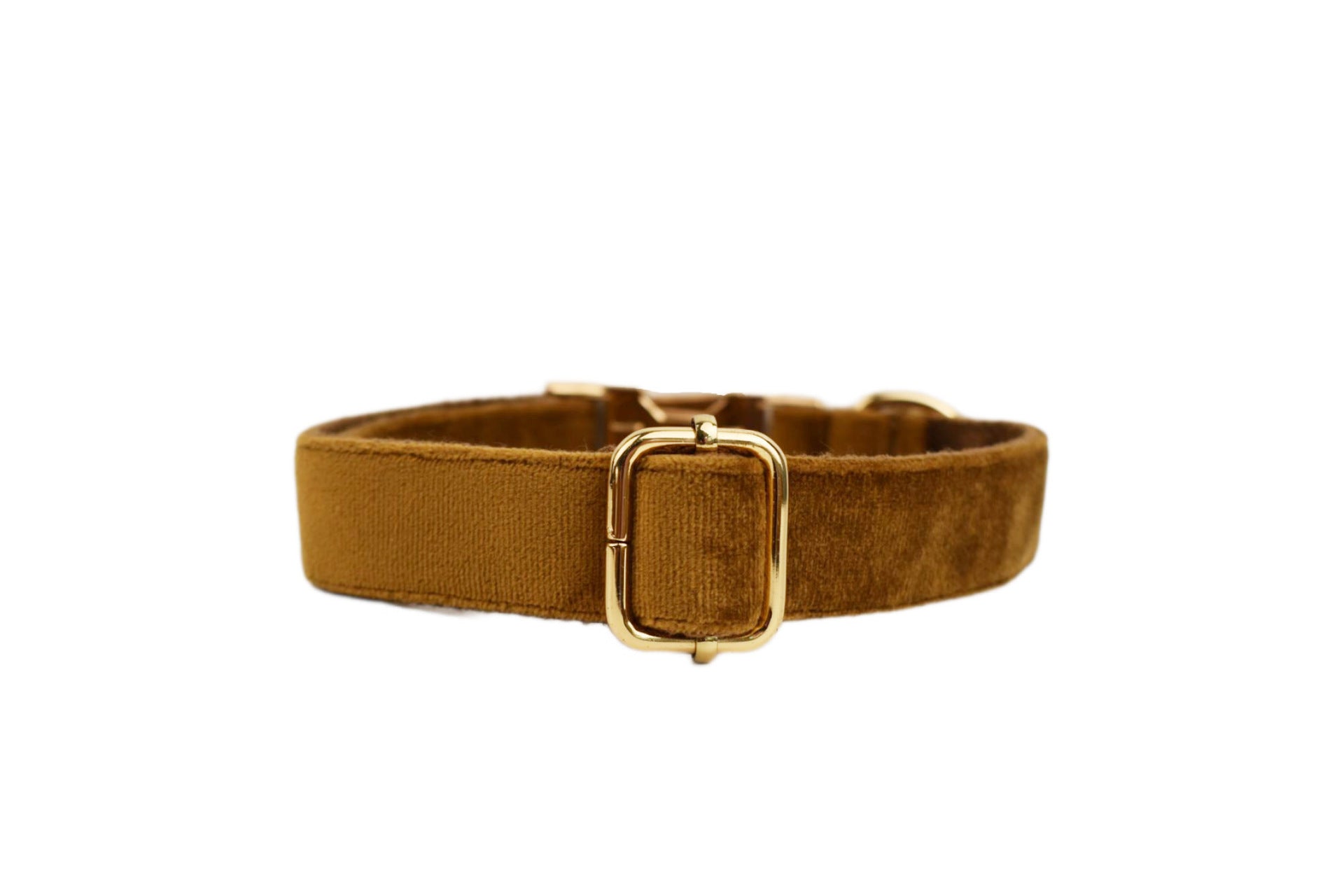 Close-up of blue velvet adjustable dog collar buckle
