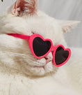 Load image into Gallery viewer, Doll Sunglasses Pet Toy Accessories
