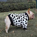 Cargar la imagen en la vista de la galería, Side view of French Bulldog wearing white fleece dog sweater with black spots resembling cow print standing on grass
