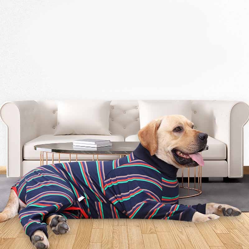 Yellow Labrador Retriever wearing dark blue striped full-body dog pajamas lying on floor