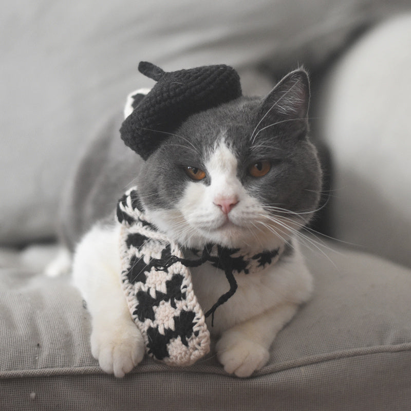 Gray and white cat wearing a black knitted beret and black-beige plaid scarf lying on a gray cushion
