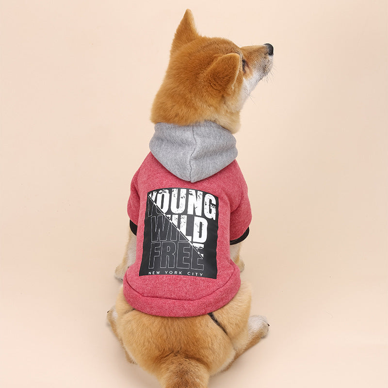Letter Print Hooded Sweatshirt