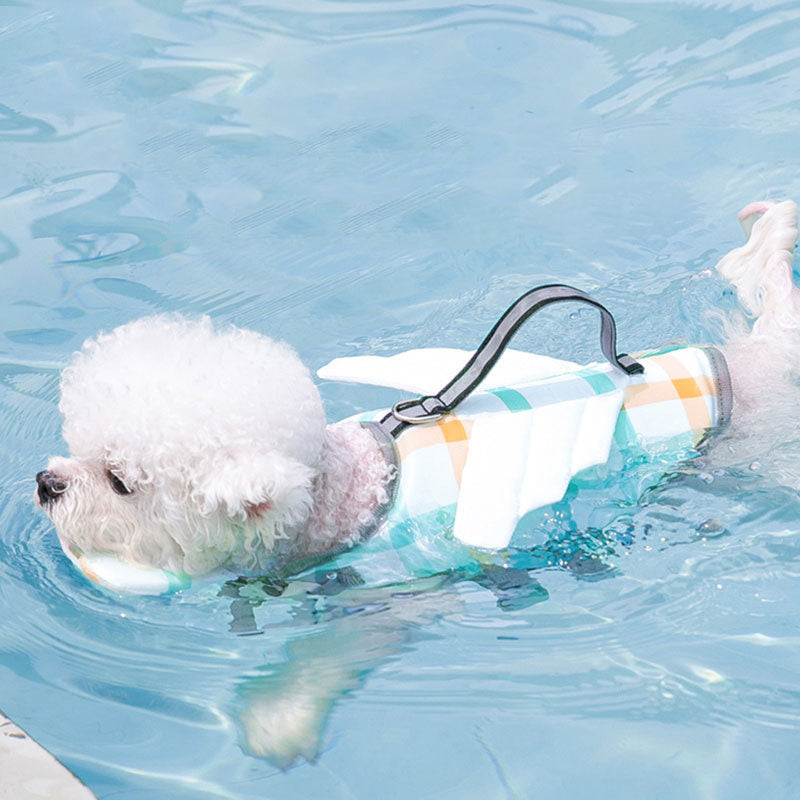 Small white dog wearing a multi-color checkered floatation life vest with handle swimming in pool