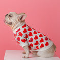 Charger l'image dans la visionneuse de la galerie, Schnauzer Small Dog Cat Knitted Sweater
