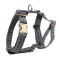 Charger l'image dans la visionneuse de la galerie, Pet Collar Dog Fabric Velvet
