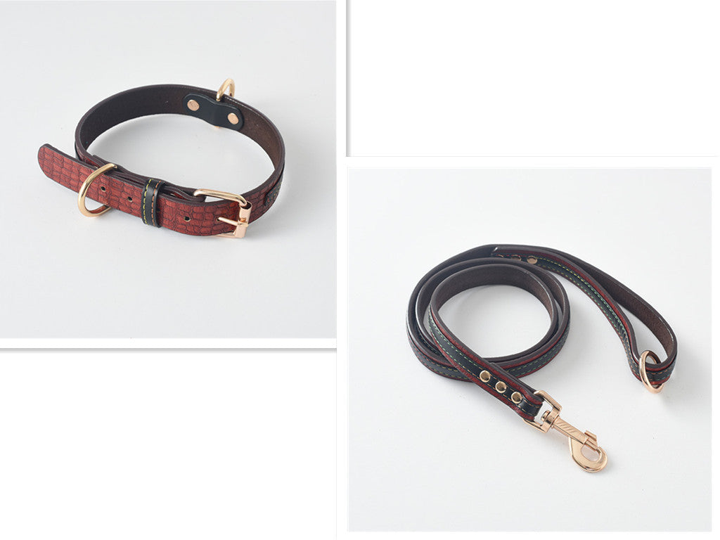 Black PU leather dog collar coiled showing buckle and D-ring