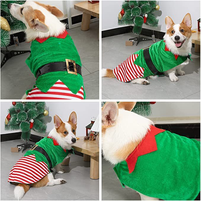 Elf Pet Costume