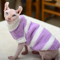 Cargar la imagen en la vista de la galería, Hairless cat in lavender and white wool sweater sitting and looking forward
