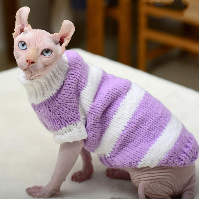 Hairless cat in lavender and white wool sweater sitting and looking forward
