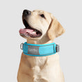 Load image into Gallery viewer, Cute Dog Collar Leash Explosion-proof And Anti-off
