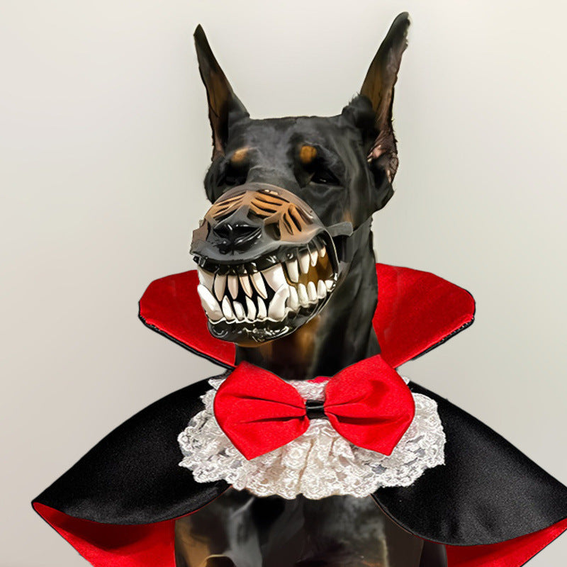 Doberman dog wearing a black and red vampire cape with lace collar and red bow tie, and a scary vampire teeth muzzle