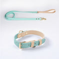 Cargar la imagen en la vista de la galería, Pastel Leather Dog Collar & Leash Set
