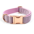 Cargar la imagen en la vista de la galería, Purple velvet collar with rose gold buckle and padded underside
