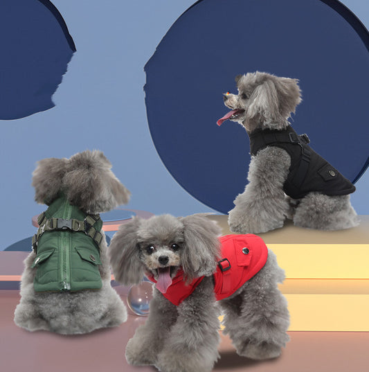 Small dogs wearing insulated winter vests in green, red, and black colors with harness straps