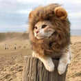 Load image into Gallery viewer, Pet Cat Decor Accessories Lion Wig Fancy Hair Caps Pet Supplies Cute Lion Headgear Cat Hat Mane Wig For Dogs And Cat Small Dog
