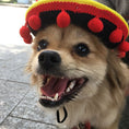 Load image into Gallery viewer, Mexican style dog hats

