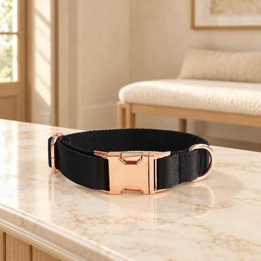 Black dog collar resting on an ivory marble console in a cream entryway