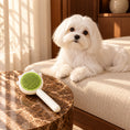Load image into Gallery viewer, White Maltese resting on a cream sofa beside a green and white grooming comb on a brown marble table.
