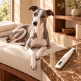 Load image into Gallery viewer, White LED pet trimmer on a brown marble table beside a resting whippet in a cream and walnut room.

