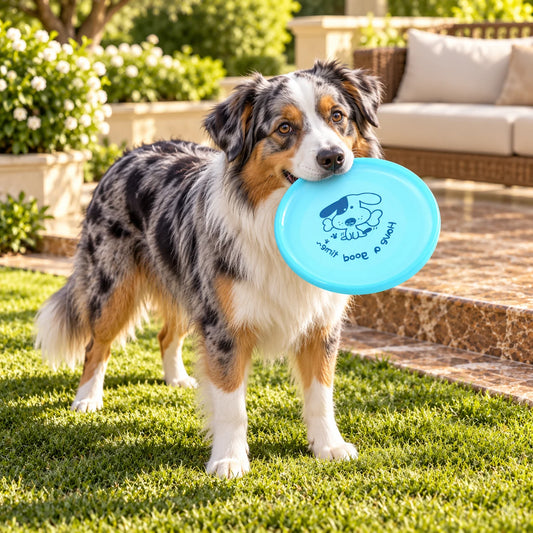Blue merle Australian shepherd holding a light blue flying disc beside a sunlit garden terrace.