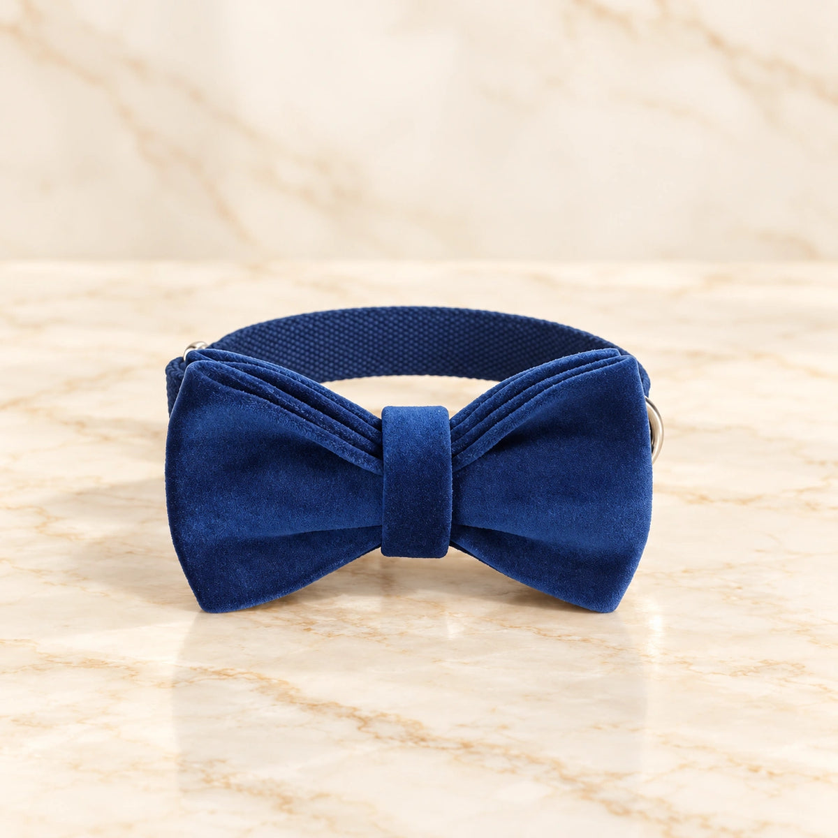 Navy velvet bow collar with silver hardware on light ivory-beige marble.