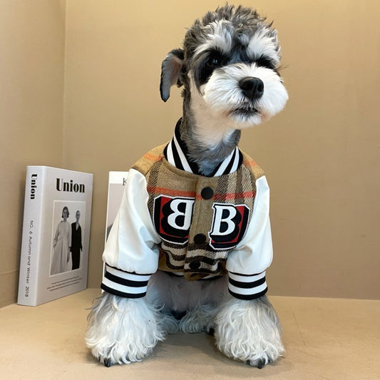 Small dog wearing plaid letter patch jacket with white faux leather sleeves and black and white striped ribbed cuffs and collar