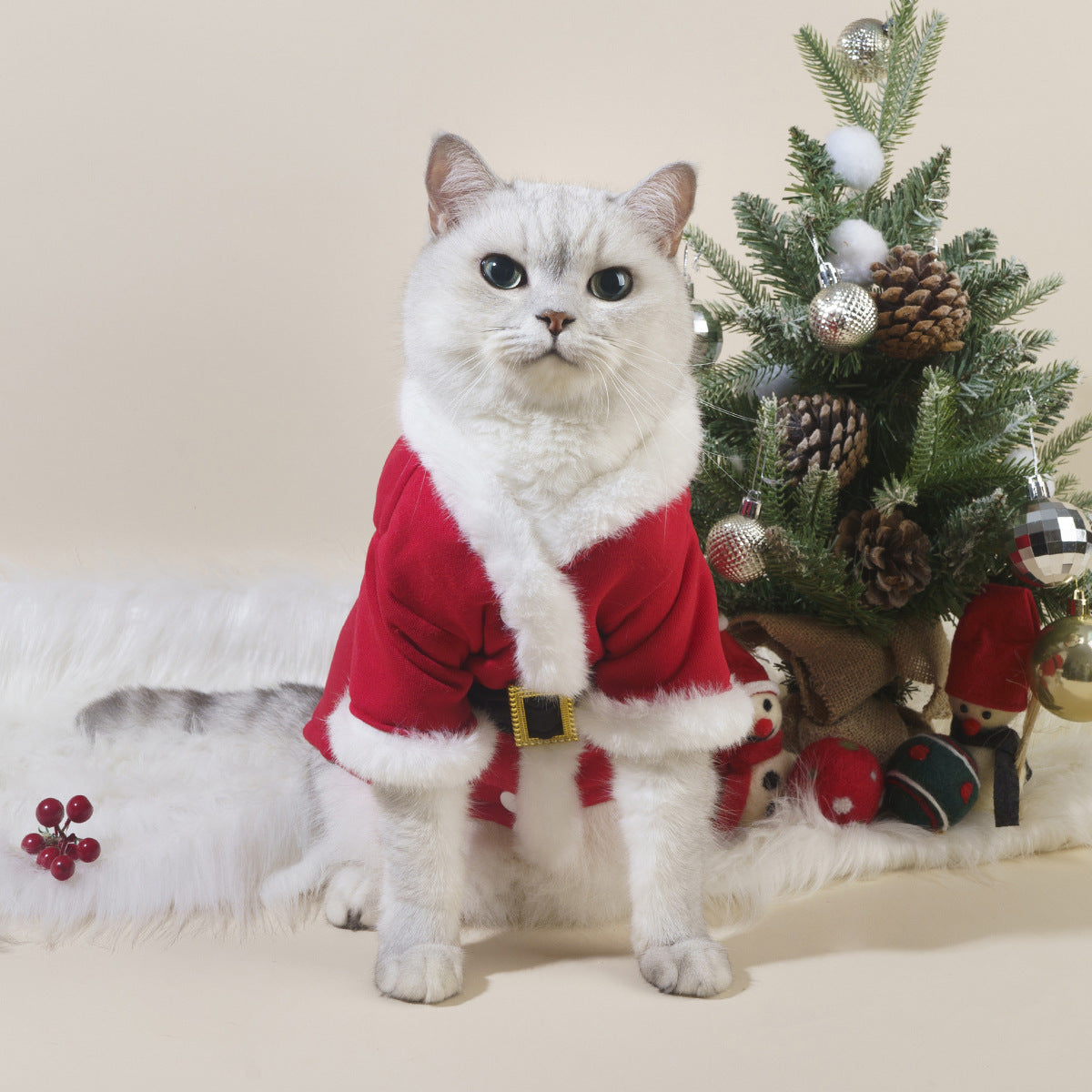 Santa Pet Outfit