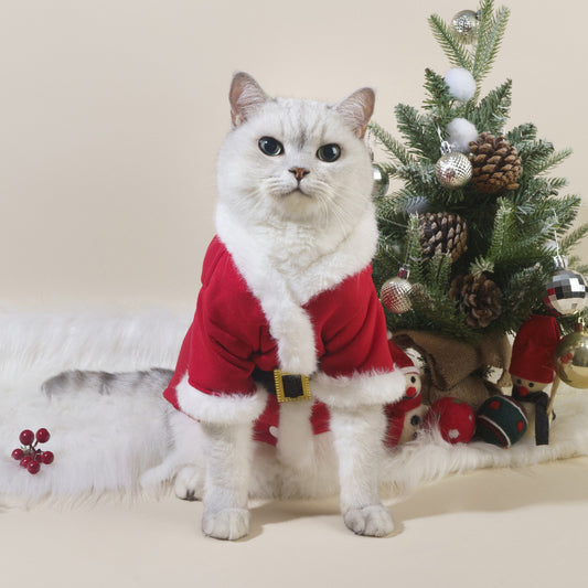 Santa Pet Outfit