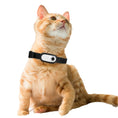 Load image into Gallery viewer, Orange tabby cat sitting with a black collar and attached white rotating pet camera
