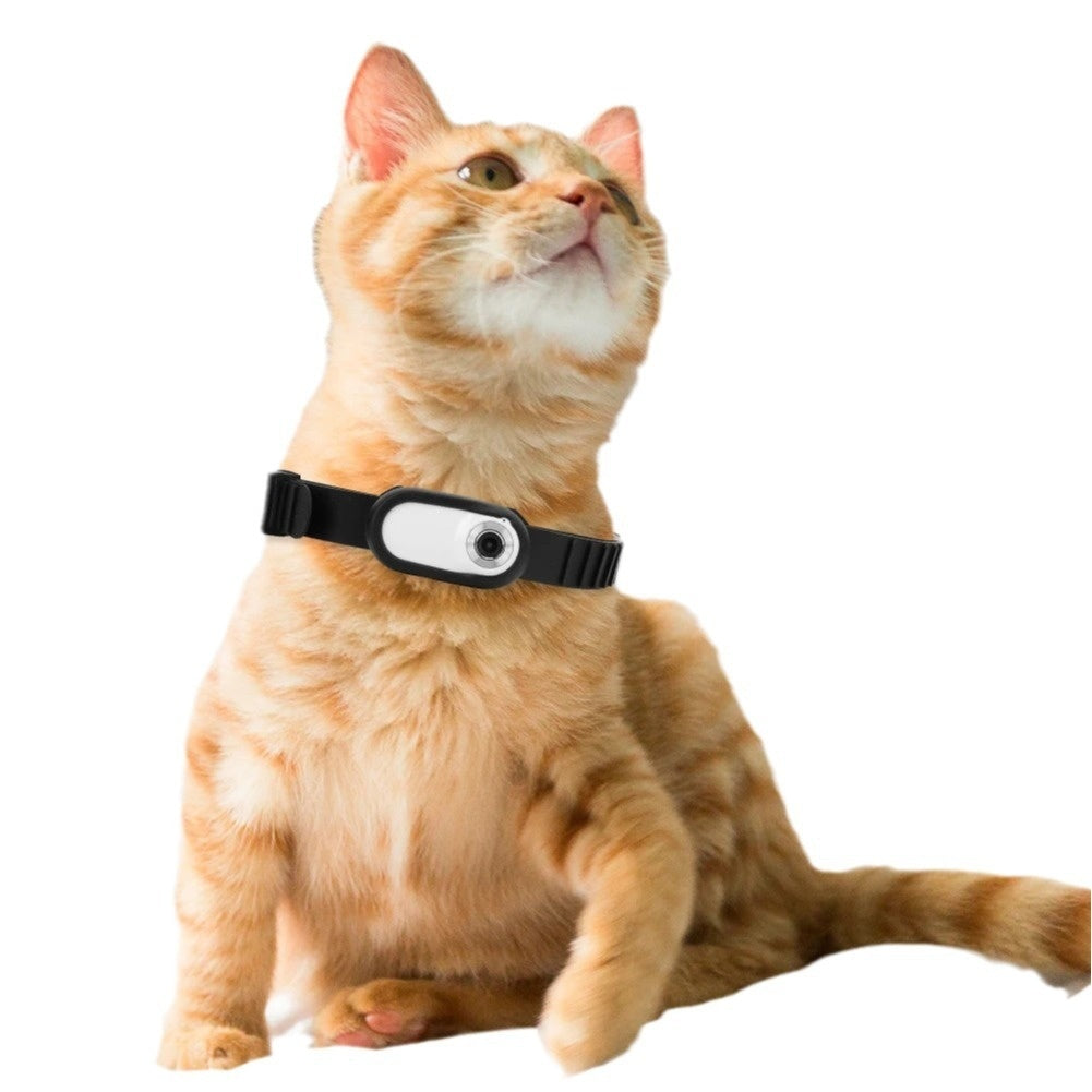 Orange tabby cat sitting with a black collar and attached white rotating pet camera