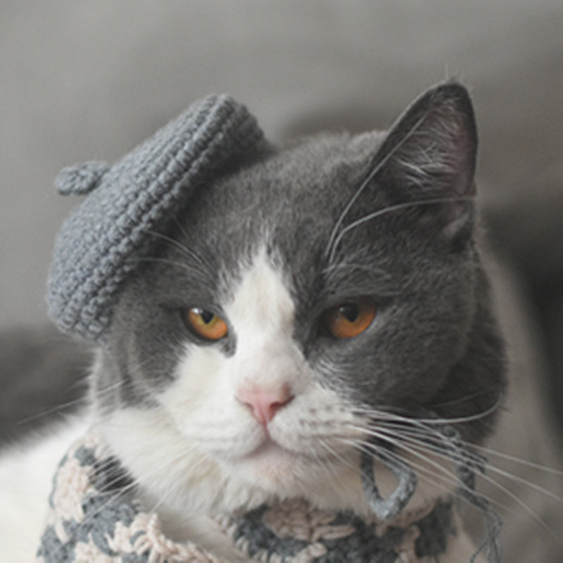Gray and white cat sitting with a gray knitted beret and gray-beige plaid scarf