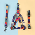 Load image into Gallery viewer, Geometric Print Dog Harness, Collar & Leash Set
