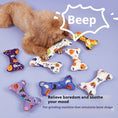 Cargar la imagen en la vista de la galería, Small curly-haired dog playing with various Halloween plush bone toys emitting beep sound
