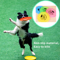 Load image into Gallery viewer, Black and white dog catching orange flying disc on grass
