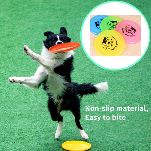 Black and white dog catching orange flying disc on grass