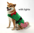 Charger l'image dans la visionneuse de la galerie, Elf Pet Costume

