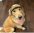 Load image into Gallery viewer, Pet Hat Sports Sunscreen Dog Breathable
