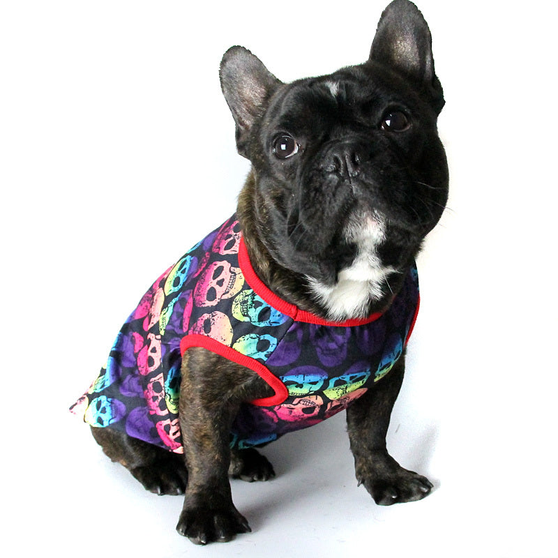 French bulldog sitting wearing sleeveless rainbow skull dog shirt with red trims