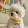 Charger l'image dans la visionneuse de la galerie, Party Birthday Hat Bib Dog Cat Pet Saliva Pocket Saliva Towel Bichon Frise
