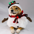 Charger l'image dans la visionneuse de la galerie, Snowman Pet Costume
