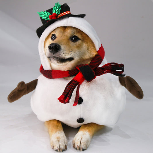 Snowman Pet Costume