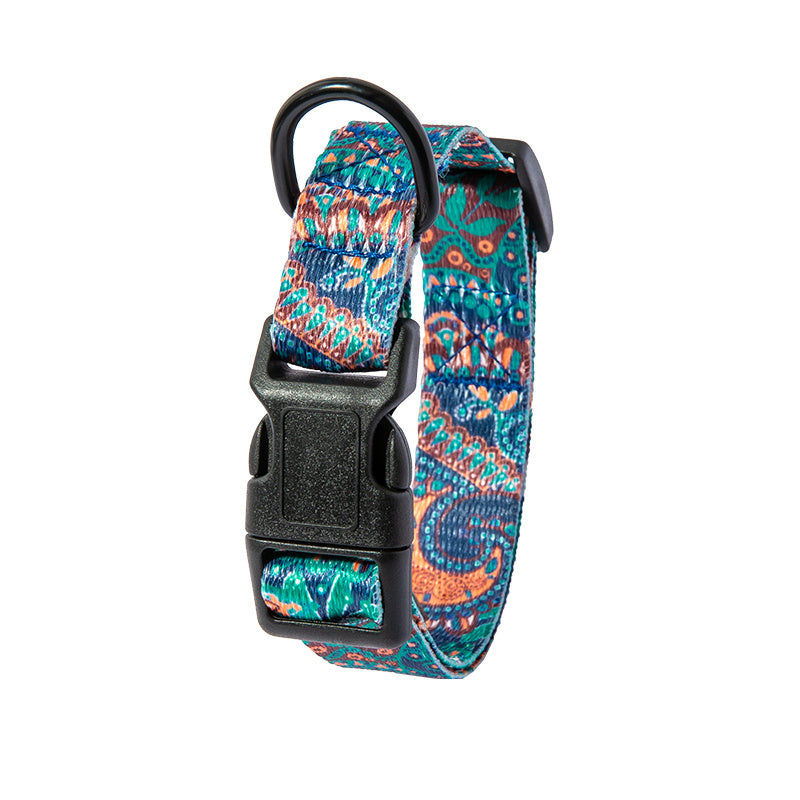Close-up of plastic buckle and D-ring on green, orange, and blue paisley patterned dog collar