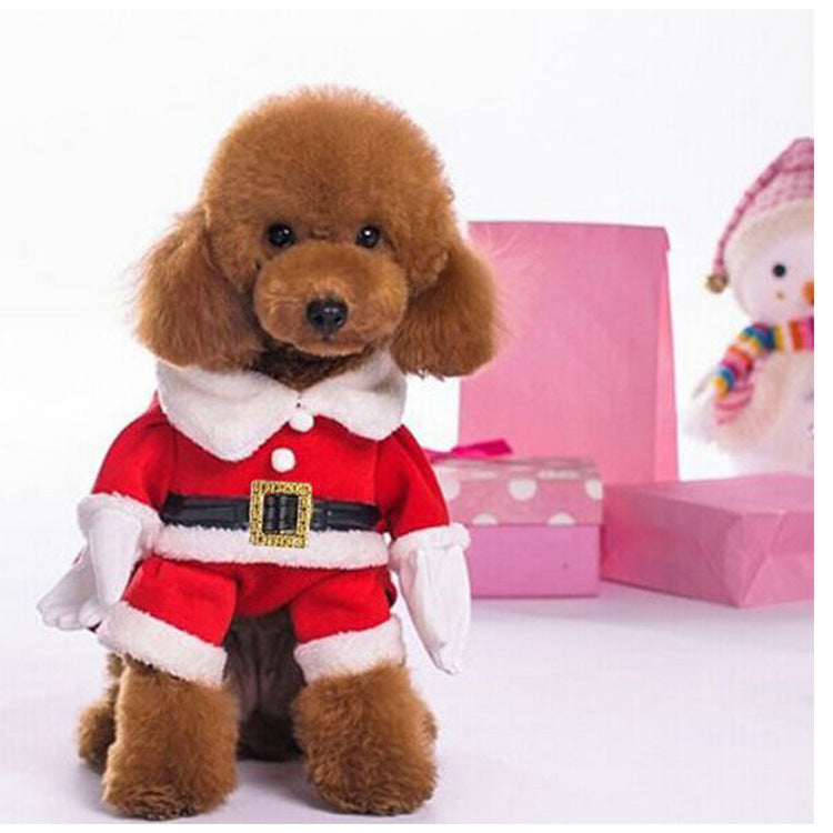 Pet Christmas Suit