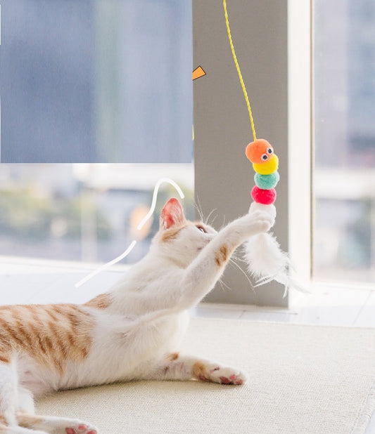 Cat playing with colorful caterpillar plush toy attached to elastic yellow rope with feather tail