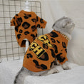 Load image into Gallery viewer, Autumn And Winter Knitted Wool Clothes For Cats And Dogs
