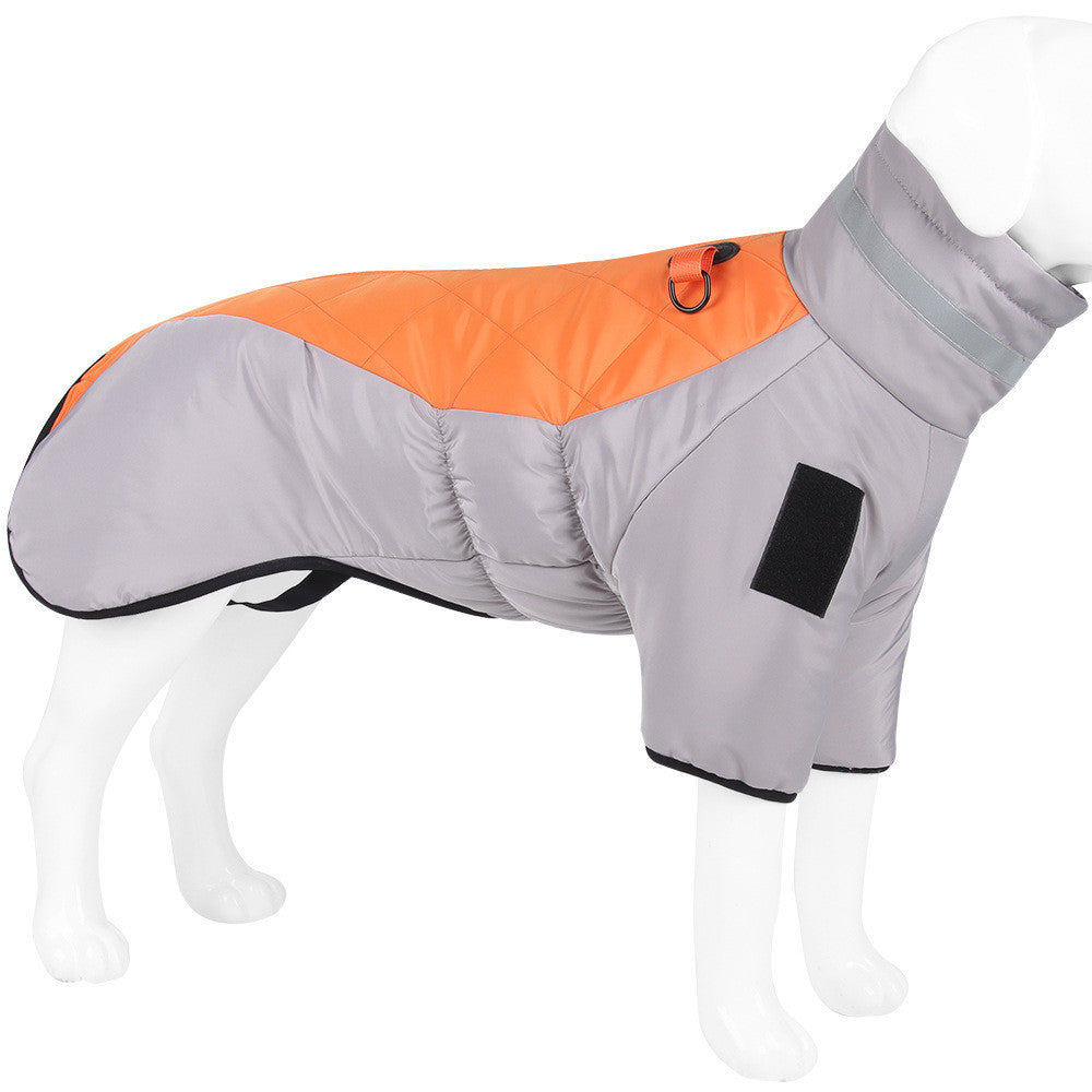 Mannequin dog model dressed in gray and orange warm dog coat with reflective collar and leash ring